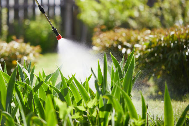 24/7 Emergency Ant Control experts in Santa Maria, CA