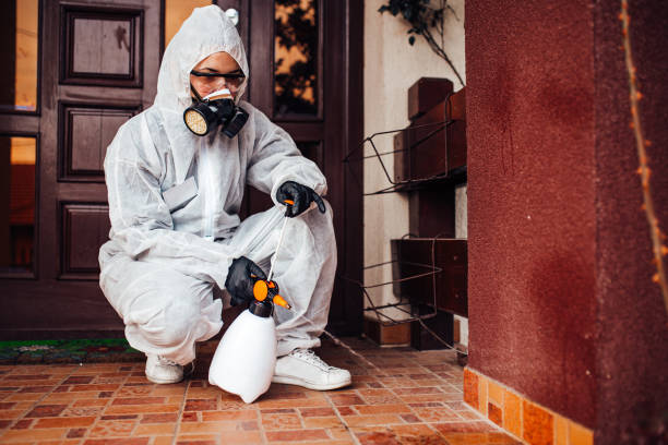 Reliable Ant Control contractor in Santa Maria, CA by Nex Pest Control