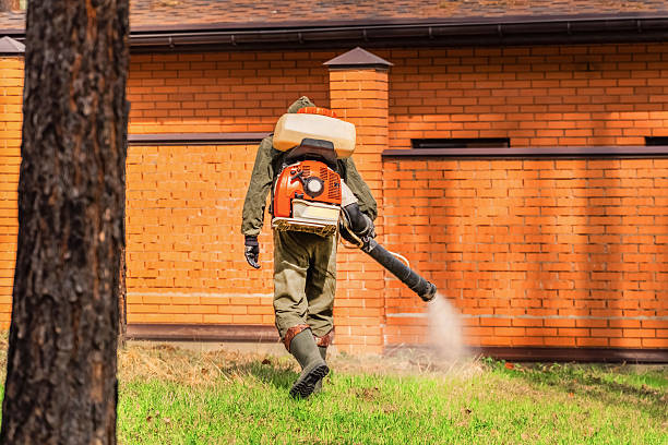 Trusted Bed Bug Control service in Santa Maria, CA - Nex Pest Control